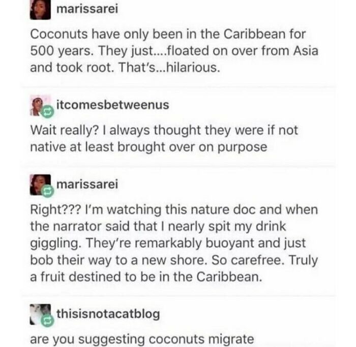 50 Hilarious Screenshots From Tumblr That Prove It&rsquo;s One Of The Silliest Places On The Internet