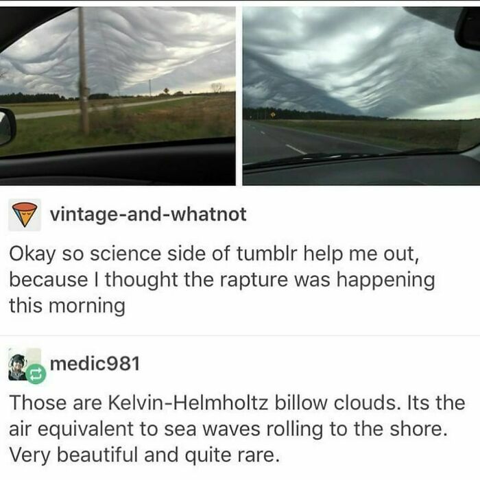 50 Hilarious Screenshots From Tumblr That Prove It&rsquo;s One Of The Silliest Places On The Internet