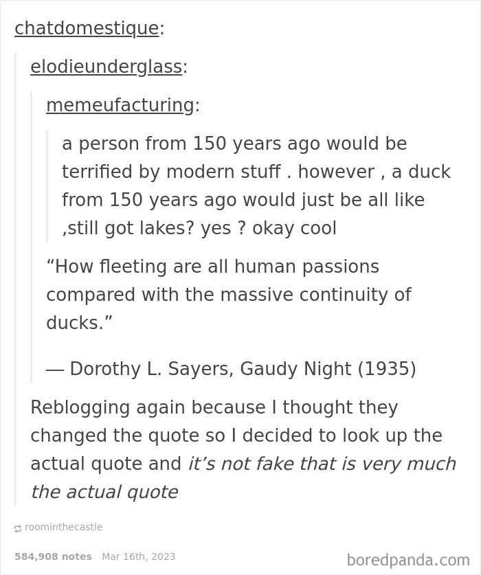 50 Hilarious Screenshots From Tumblr That Prove It&rsquo;s One Of The Silliest Places On The Internet