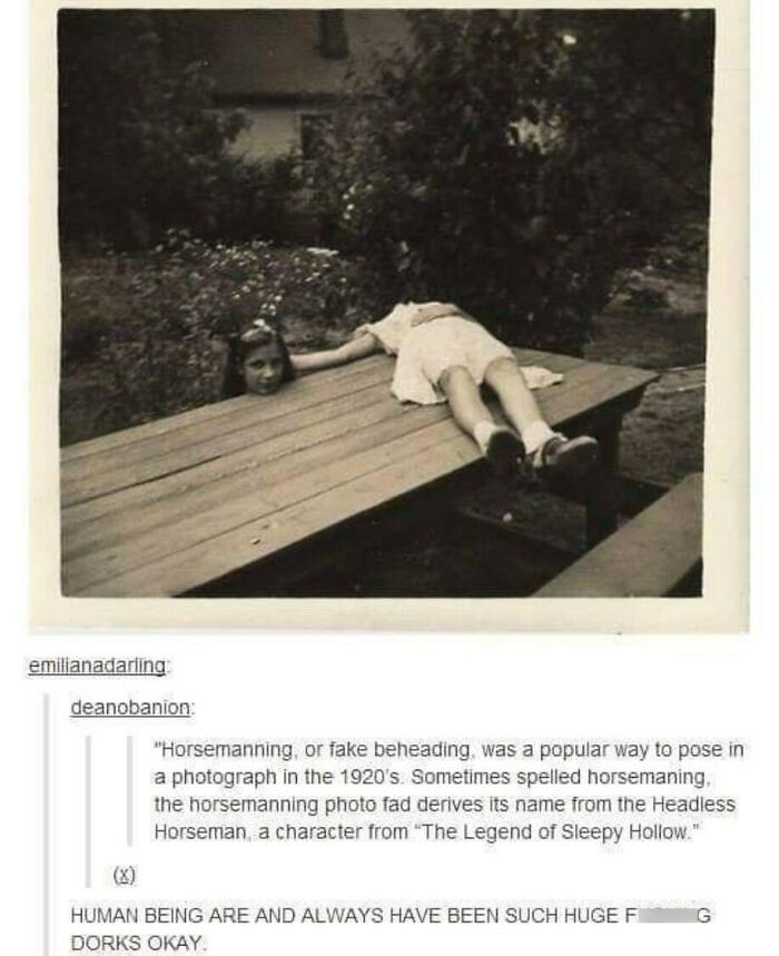 50 Hilarious Screenshots From Tumblr That Prove It&rsquo;s One Of The Silliest Places On The Internet