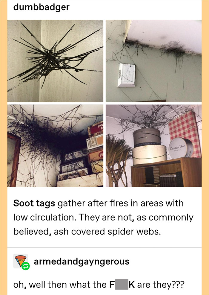 50 Hilarious Screenshots From Tumblr That Prove It&rsquo;s One Of The Silliest Places On The Internet