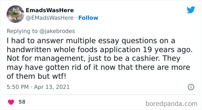 35 Examples Of Hilariously Unrealistic Expectations When Applying For A Job 35 Examples Of Hilariously Unrealistic Expectations When Applying For A Job