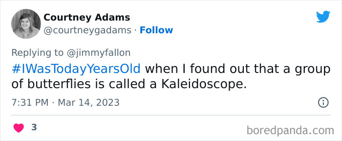 Jimmy Fallon Asks Fans To Tweet An Obvious Fact That Boggled Their Mind Once They Learnt Of It (40 Answers) Jimmy Fallon Asks Fans To Tweet An Obvious Fact That Boggled Their Mind Once They Learnt Of It (40 Answers)