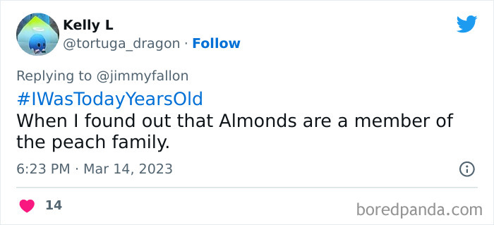 Jimmy Fallon Asks Fans To Tweet An Obvious Fact That Boggled Their Mind Once They Learnt Of It (40 Answers) Jimmy Fallon Asks Fans To Tweet An Obvious Fact That Boggled Their Mind Once They Learnt Of It (40 Answers)