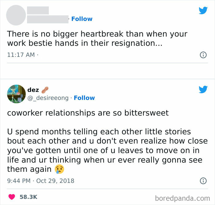 50 Hilarious Workplace Memes That May Help You Get Through Your Workday Better 50 Hilarious Workplace Memes That May Help You Get Through Your Workday Better