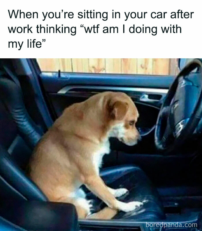 50 Hilarious Workplace Memes That May Help You Get Through Your Workday Better 50 Hilarious Workplace Memes That May Help You Get Through Your Workday Better