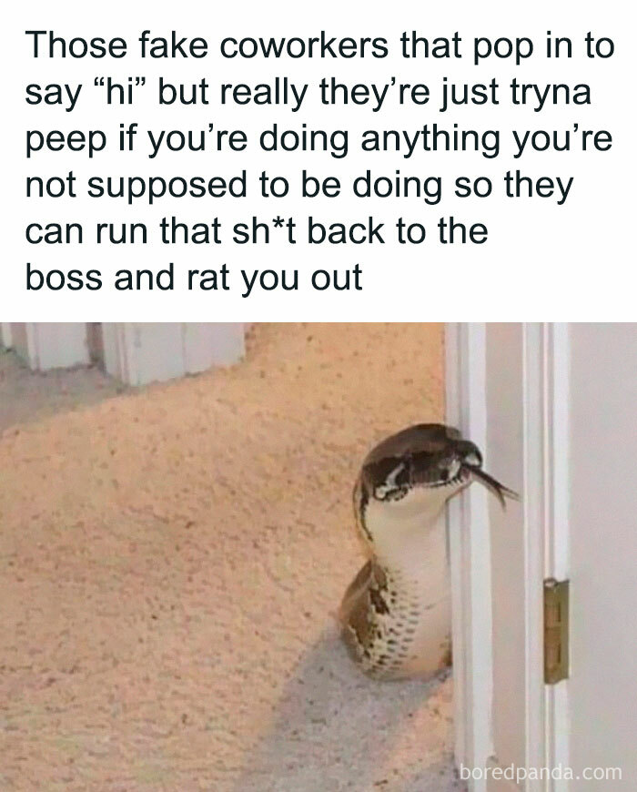 50 Hilarious Workplace Memes That May Help You Get Through Your Workday Better 50 Hilarious Workplace Memes That May Help You Get Through Your Workday Better