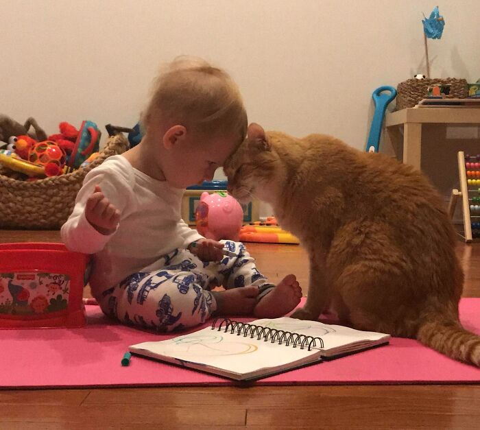 40 Times Cats Figured Their New Job Was Babysitting, And Nailed It 40 Times Cats Figured Their New Job Was Babysitting, And Nailed It