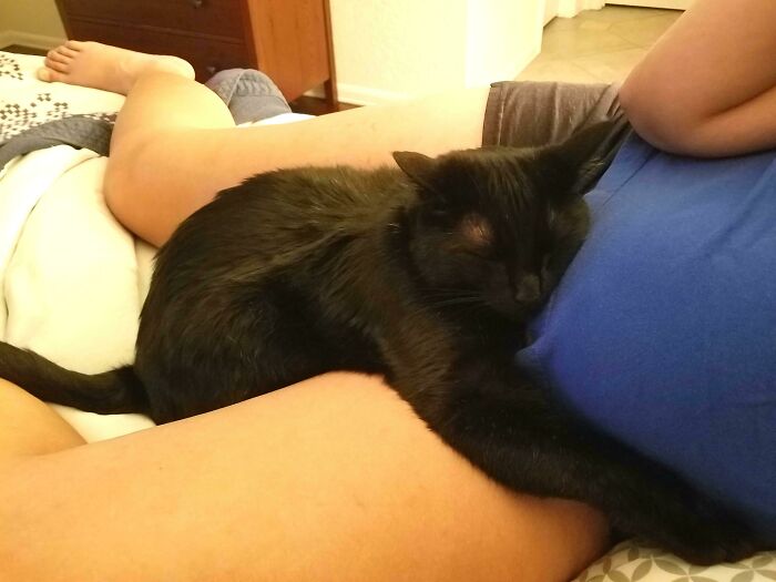 40 Times Cats Figured Their New Job Was Babysitting, And Nailed It 40 Times Cats Figured Their New Job Was Babysitting, And Nailed It