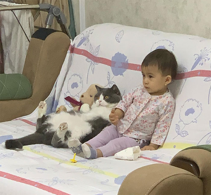 40 Times Cats Figured Their New Job Was Babysitting, And Nailed It 40 Times Cats Figured Their New Job Was Babysitting, And Nailed It