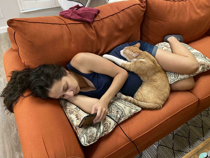 40 Times Cats Figured Their New Job Was Babysitting, And Nailed It 40 Times Cats Figured Their New Job Was Babysitting, And Nailed It