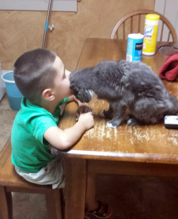 40 Times Cats Figured Their New Job Was Babysitting, And Nailed It 40 Times Cats Figured Their New Job Was Babysitting, And Nailed It