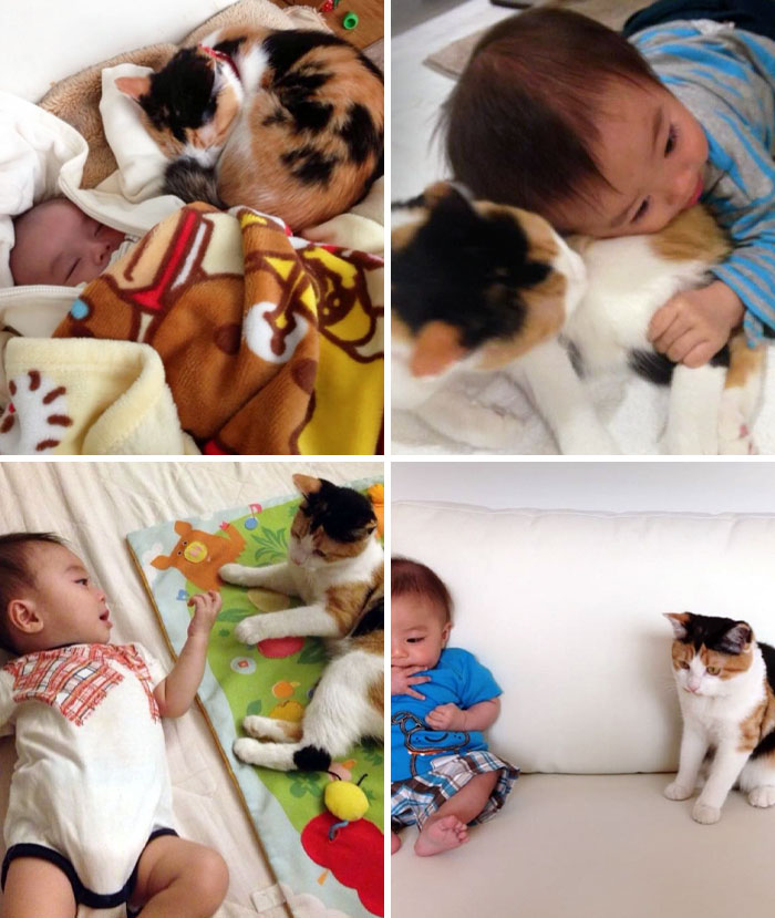 40 Times Cats Figured Their New Job Was Babysitting, And Nailed It 40 Times Cats Figured Their New Job Was Babysitting, And Nailed It