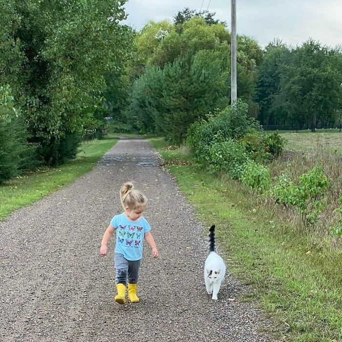 40 Times Cats Figured Their New Job Was Babysitting, And Nailed It 40 Times Cats Figured Their New Job Was Babysitting, And Nailed It