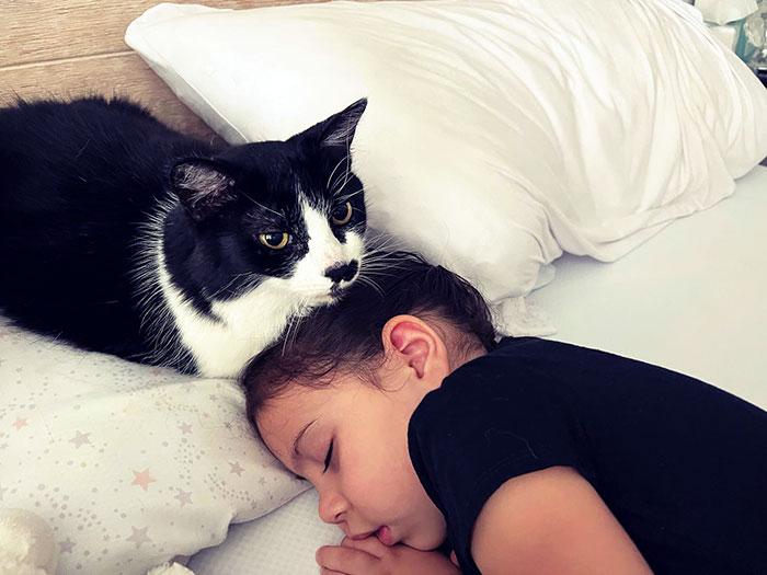 40 Times Cats Figured Their New Job Was Babysitting, And Nailed It 40 Times Cats Figured Their New Job Was Babysitting, And Nailed It