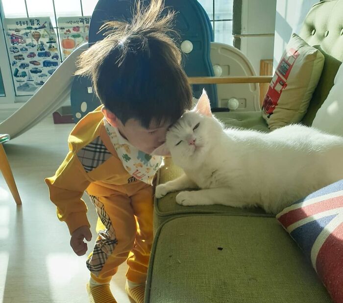 40 Times Cats Figured Their New Job Was Babysitting, And Nailed It 40 Times Cats Figured Their New Job Was Babysitting, And Nailed It