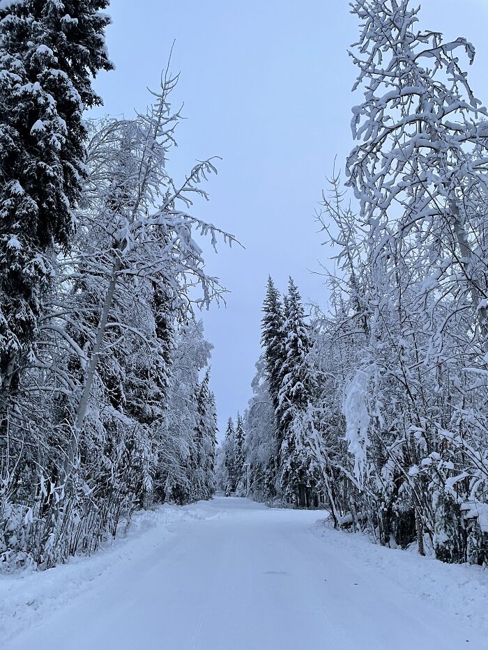 Hey Pandas, Post The First Signs Of Spring (Closed) Hey Pandas, Post The First Signs Of Spring (Closed)