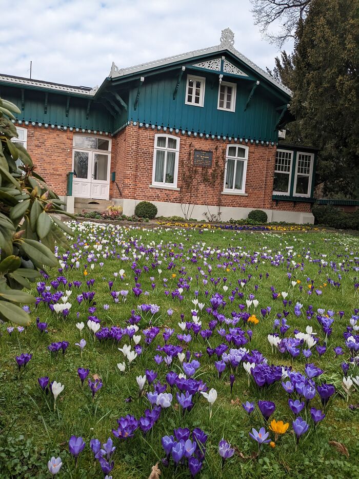 Hey Pandas, Post The First Signs Of Spring (Closed) Hey Pandas, Post The First Signs Of Spring (Closed)