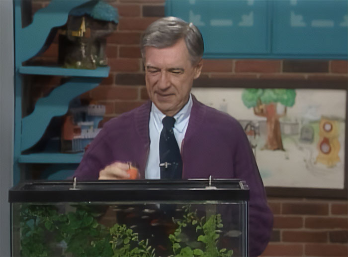 People Shared 51 Fictional Worlds Which Have That “Home” Feeling