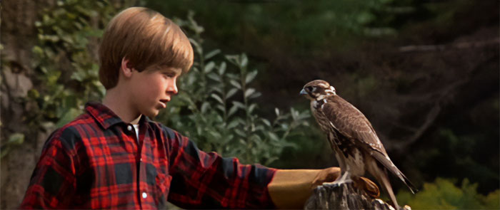 People Shared 51 Fictional Worlds Which Have That “Home” Feeling