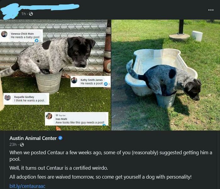 This Online Group Exists To Celebrate The Derpiest Dogs Ever Caught On Camera (50 New Pics) This Online Group Exists To Celebrate The Derpiest Dogs Ever Caught On Camera (50 New Pics)