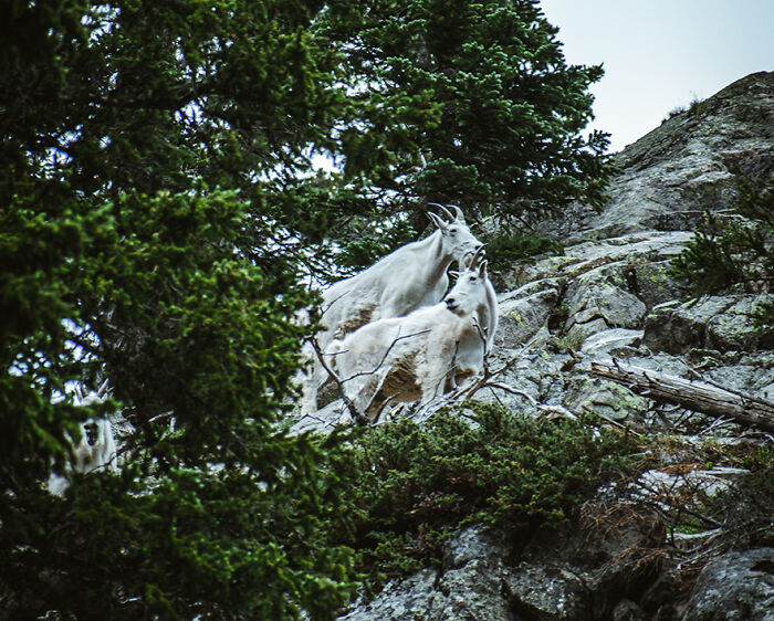 “What Is The Worst Gift You Ever Received?”: 45 Undeniably Bad Gifts, As Shared By The Bored Panda Community “What Is The Worst Gift You Ever Received?”: 45 Undeniably Bad Gifts, As Shared By The Bored Panda Community