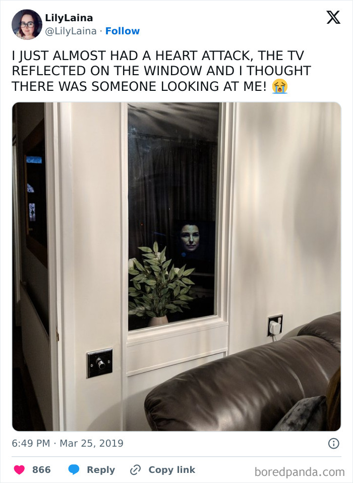 “Scared The Bejesus Out Of Me”: 50 Times People Almost Had A Heart Attack But Took A Second Look (New Pics)