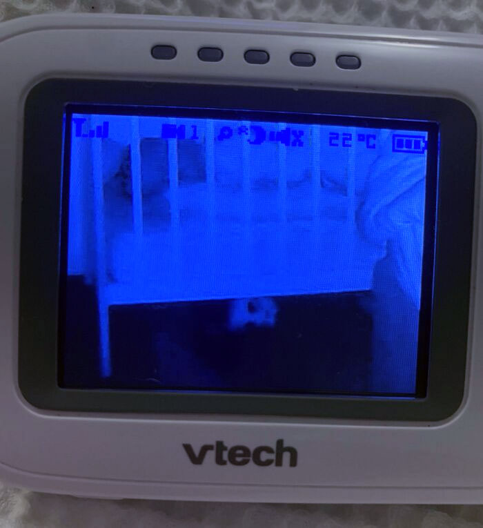 “Scared The Bejesus Out Of Me”: 50 Times People Almost Had A Heart Attack But Took A Second Look (New Pics)