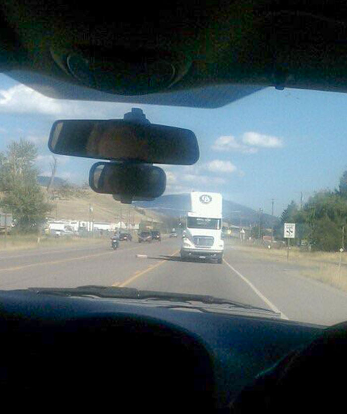 “Scared The Bejesus Out Of Me”: 50 Times People Almost Had A Heart Attack But Took A Second Look (New Pics)