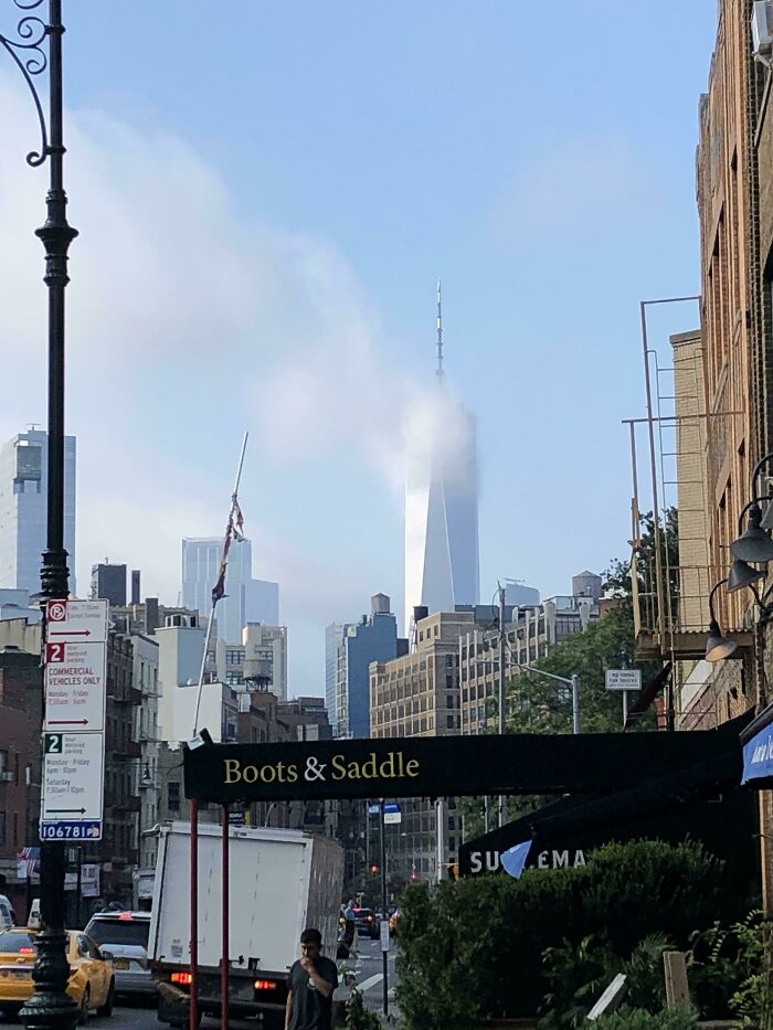 “Scared The Bejesus Out Of Me”: 50 Times People Almost Had A Heart Attack But Took A Second Look (New Pics)