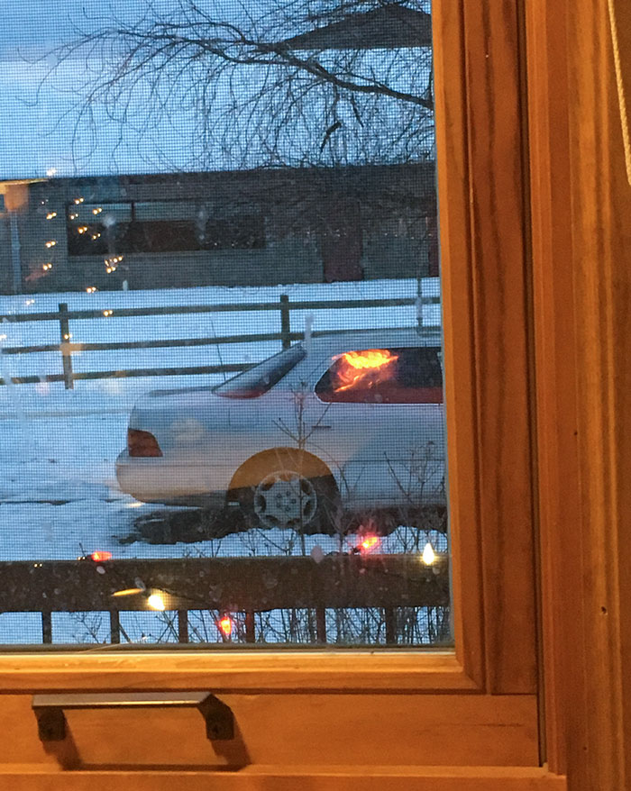 “Scared The Bejesus Out Of Me”: 50 Times People Almost Had A Heart Attack But Took A Second Look (New Pics)