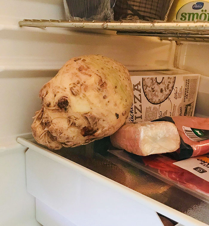 “Scared The Bejesus Out Of Me”: 50 Times People Almost Had A Heart Attack But Took A Second Look (New Pics)