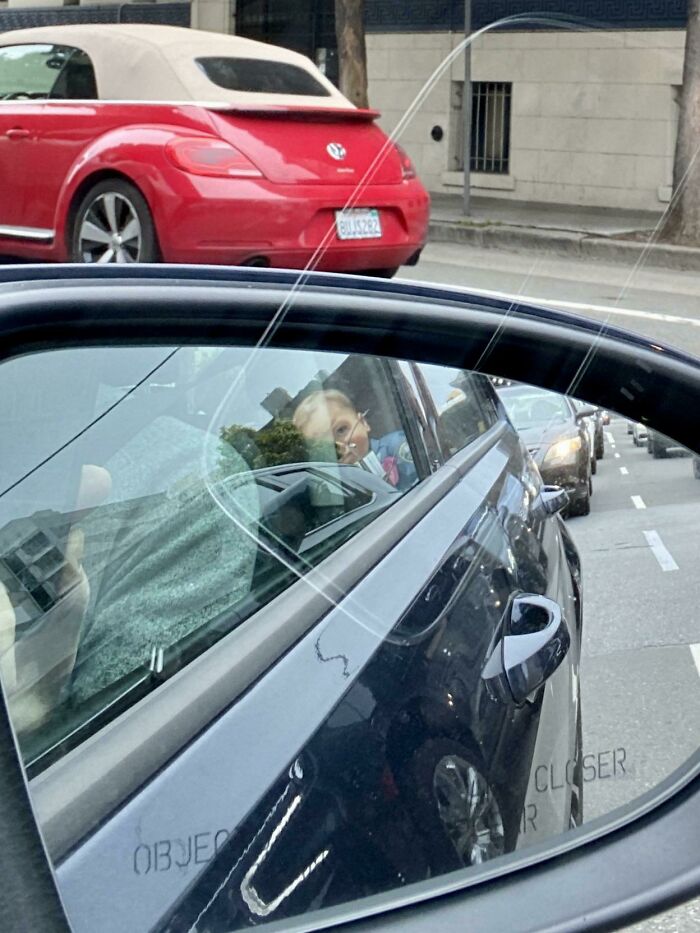 “Scared The Bejesus Out Of Me”: 50 Times People Almost Had A Heart Attack But Took A Second Look (New Pics) “Scared The Bejesus Out Of Me”: 50 Times People Almost Had A Heart Attack But Took A Second Look (New Pics)