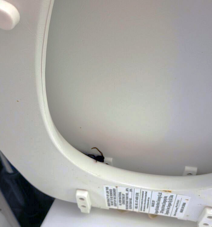 “Scared The Bejesus Out Of Me”: 50 Times People Almost Had A Heart Attack But Took A Second Look (New Pics)