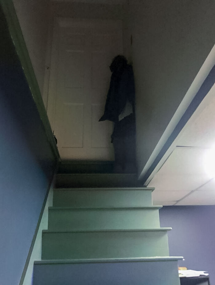 “Scared The Bejesus Out Of Me”: 50 Times People Almost Had A Heart Attack But Took A Second Look (New Pics)