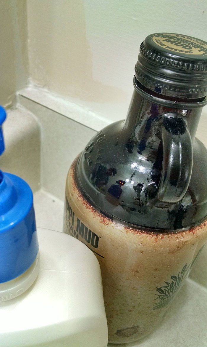 “Scared The Bejesus Out Of Me”: 50 Times People Almost Had A Heart Attack But Took A Second Look (New Pics)