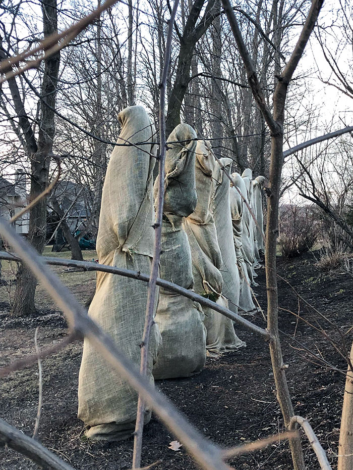 “Scared The Bejesus Out Of Me”: 50 Times People Almost Had A Heart Attack But Took A Second Look (New Pics)