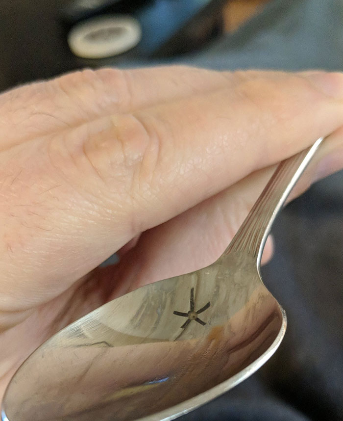 “Scared The Bejesus Out Of Me”: 50 Times People Almost Had A Heart Attack But Took A Second Look (New Pics)