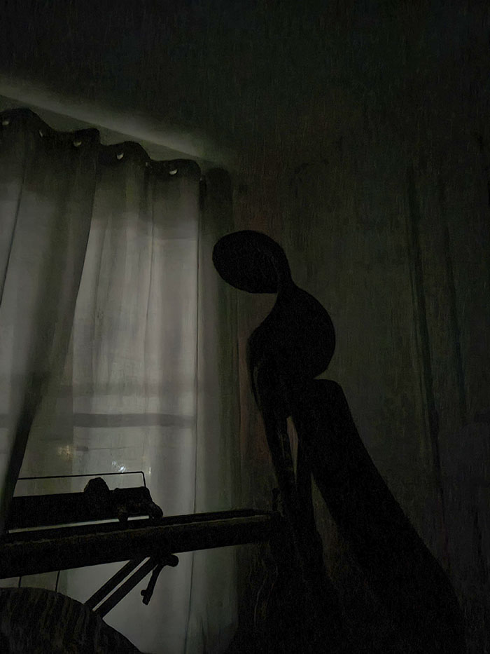 “Scared The Bejesus Out Of Me”: 50 Times People Almost Had A Heart Attack But Took A Second Look (New Pics)