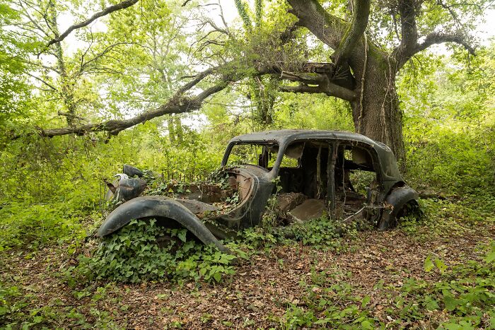 “When Nature Reclaims Its Rights”: My Exploration Through 19 Pics