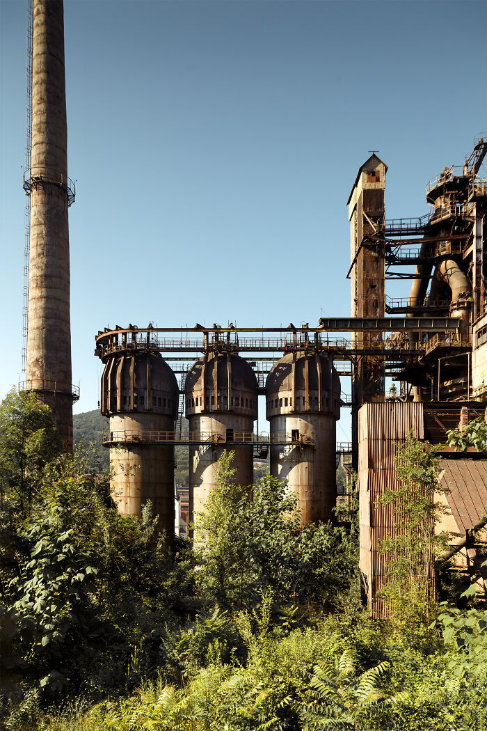 “When Nature Reclaims Its Rights”: My Exploration Through 19 Pics