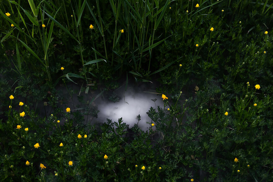 The Winning Photos Of The Contest “Nature” By AAP Magazine Have Just Been Announced, And Here Are The Best 24 Pics The Winning Photos Of The Contest “Nature” By AAP Magazine Have Just Been Announced, And Here Are The Best 24 Pics