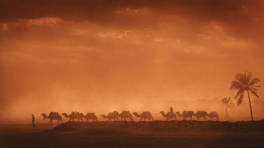 The Winning Photos Of The Contest “Nature” By AAP Magazine Have Just Been Announced, And Here Are The Best 24 Pics The Winning Photos Of The Contest “Nature” By AAP Magazine Have Just Been Announced, And Here Are The Best 24 Pics