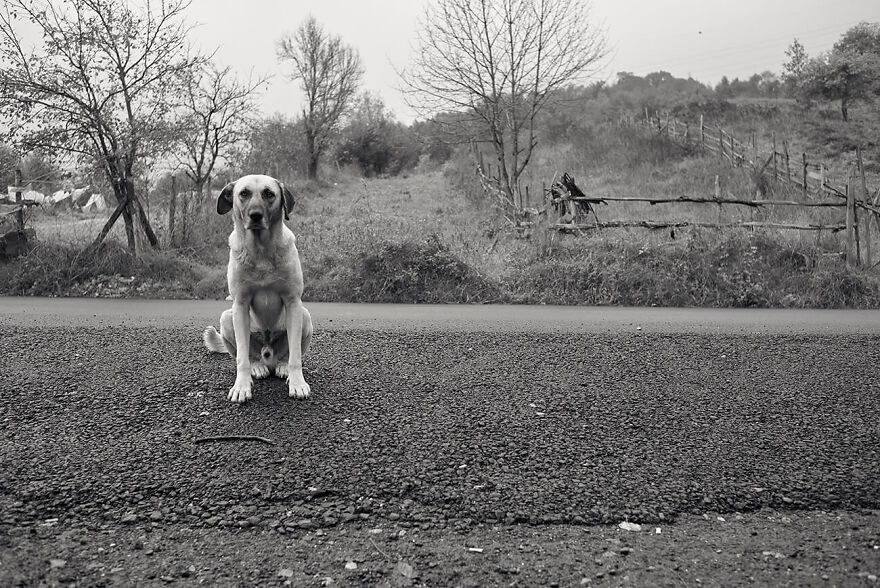 The Winning Photos Of The Contest “Nature” By AAP Magazine Have Just Been Announced, And Here Are The Best 24 Pics The Winning Photos Of The Contest “Nature” By AAP Magazine Have Just Been Announced, And Here Are The Best 24 Pics