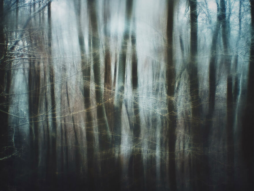 The Winning Photos Of The Contest “Nature” By AAP Magazine Have Just Been Announced, And Here Are The Best 24 Pics The Winning Photos Of The Contest “Nature” By AAP Magazine Have Just Been Announced, And Here Are The Best 24 Pics