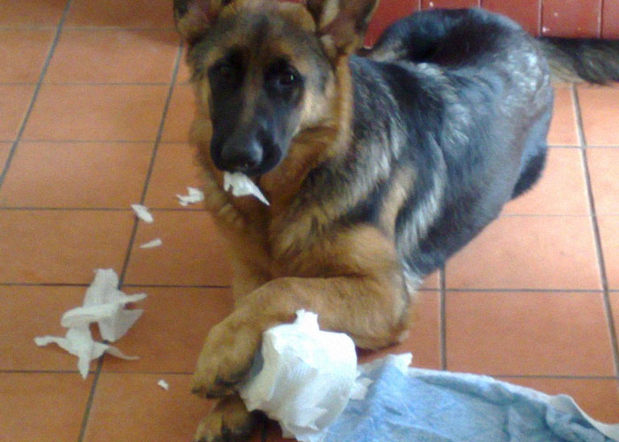 Teen Snaps At Dad After He Mansplained How She Should Handle Her Period Teen Snaps At Dad After He Mansplained How She Should Handle Her Period