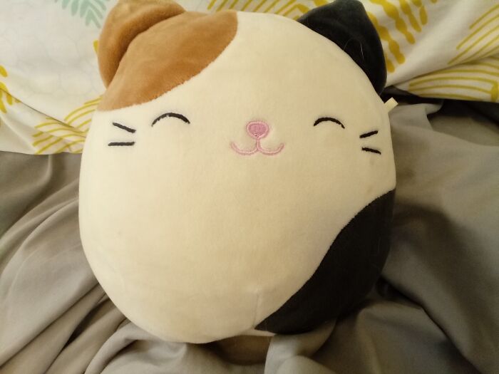 Hey Pandas, Who Has The Most Squishmellows? (Closed)