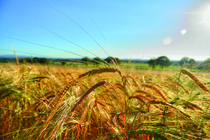 Hey Pandas, Post The Best Summer Photo You Took (Closed)