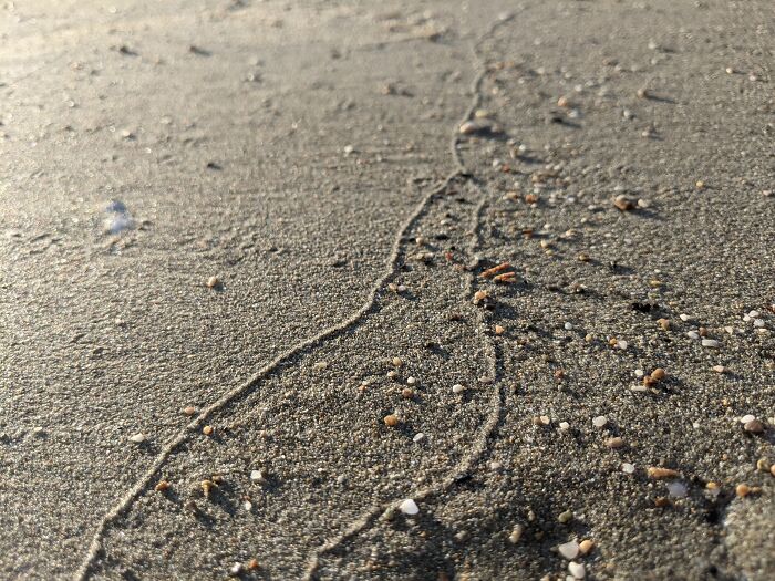 Hey Pandas, Post The Best Summer Photo You Took (Closed)