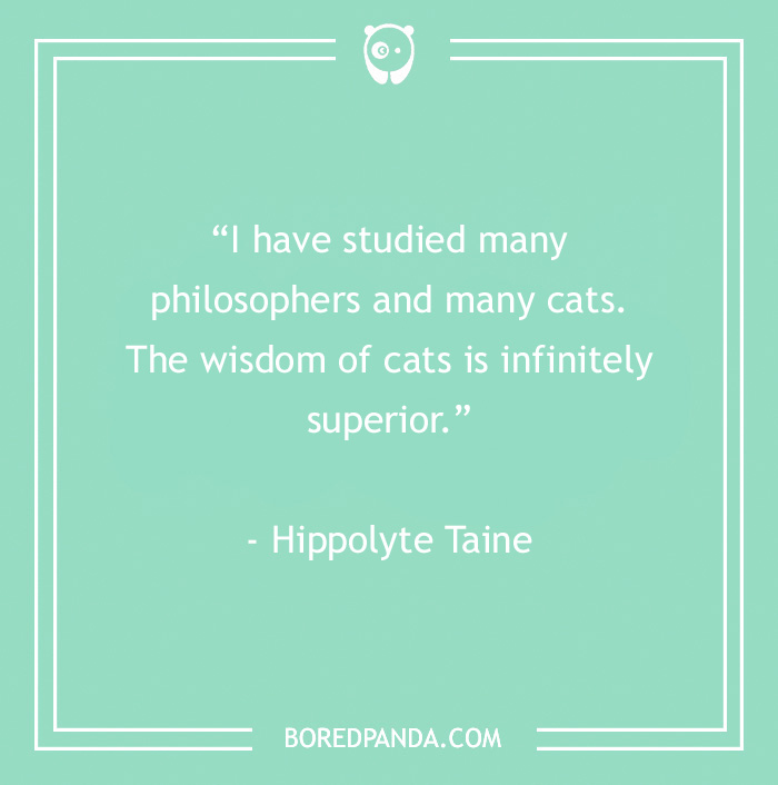 105 Cat Quotes Every Feline Fan Will Like 105 Cat Quotes Every Feline Fan Will Like